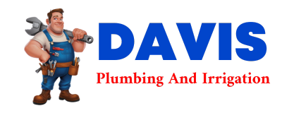 Trusted plumber in WAUNETA